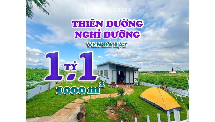 ĐẤT NỀN NGHỈ DƯỠNG VEN ĐÀ LẠT-VIEW TRIỆU ĐÔ-LÊN ĐÀ LẠT 30ph